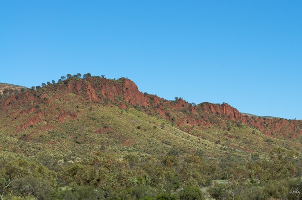 AustraliaAdelaide 10  102